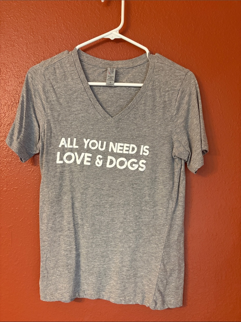 Women's Gray 'All You Need Is Love & Dogs' V-Neck Tee